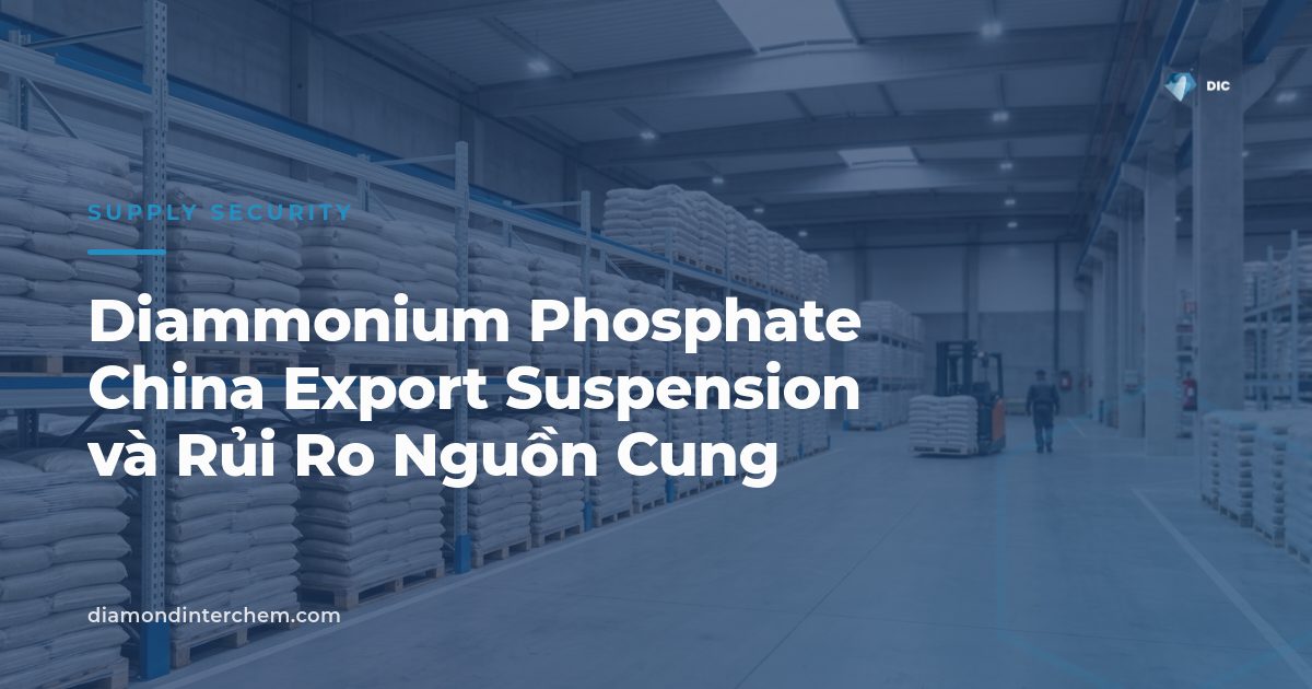 Container cảng biển minh họa Diammonium Phosphate China Export Suspension ảnh hưởng chuỗi cung ứng