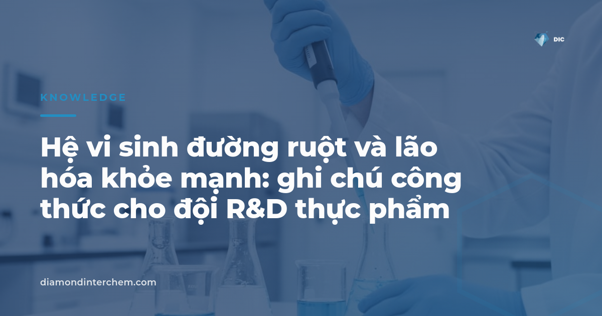 Hệ vi sinh đường ruột và lão hóa khỏe mạnh — ghi chú công thức cho R&D thực phẩm