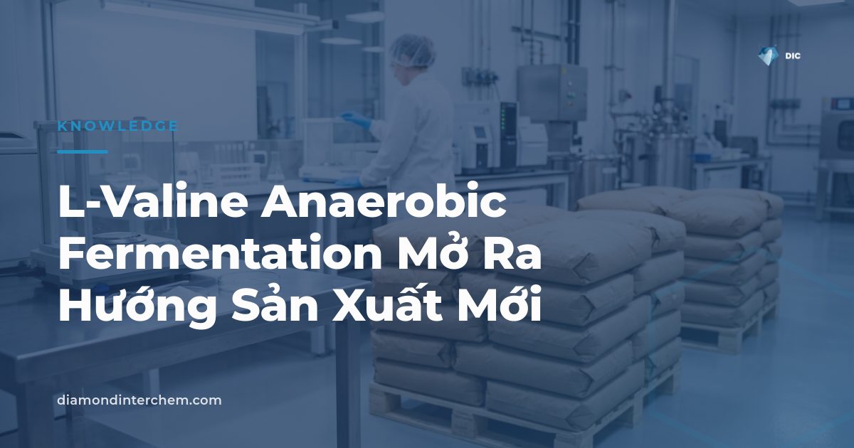 Minh họa quy trình L-Valine anaerobic fermentation trong bể lên men công nghiệp hiện đại