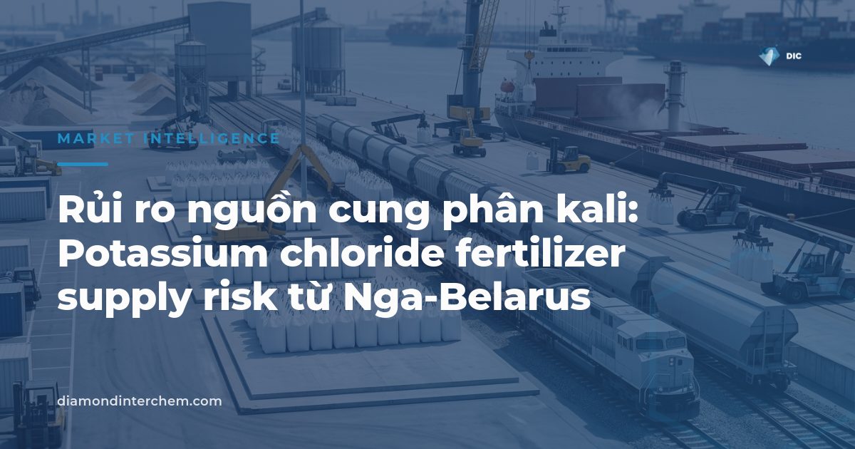 Bản đồ tuyến vận chuyển phân kali minh họa potassium chloride fertilizer supply risk toàn cầu