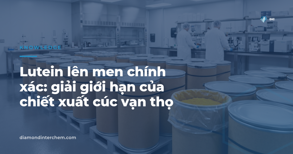 Lutein lên men chính xác — giải giới hạn của chiết xuất cúc vạn thọ