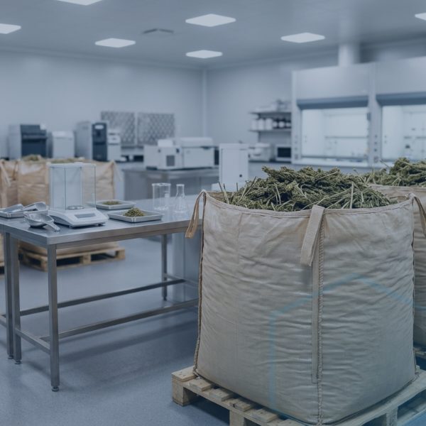 Hình ảnh minh họa hemp THC container limit trong ngành sản xuất hemp tại Mỹ